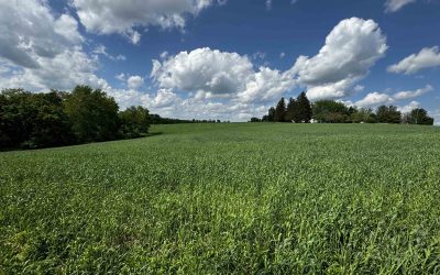 Rural Farmland in Ferryville, 34.48 acres, $324,000, #1510